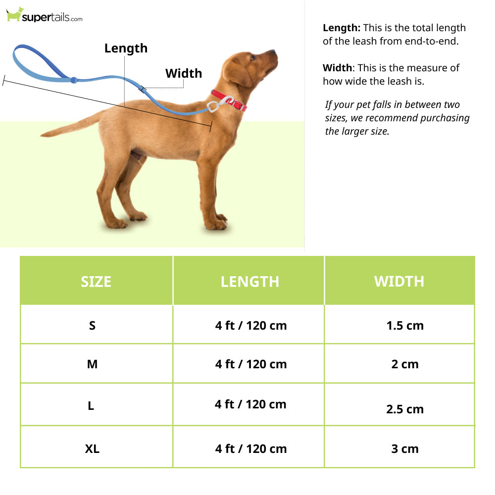 Basil Padded Leash for Dogs (Blue/Yellow)