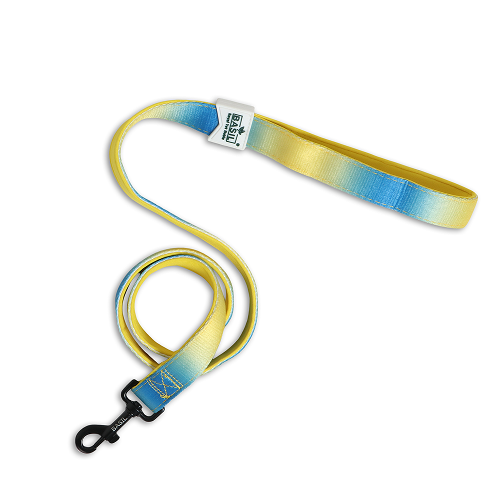 Basil Padded Leash for Dogs (Blue/Yellow)