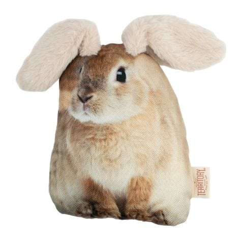 Territory Outdoor Adventure Floppy Rabbit Dog Toy