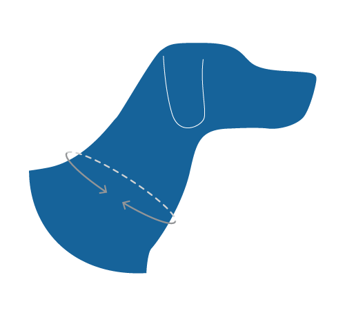RC Pets Eco Clip Collar for Dogs in Riptide Pattern
